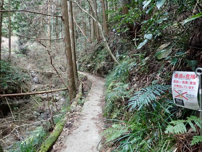 ツツジオ谷に入って行く。「登山道ではありません！」