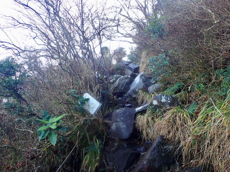 岩がびっしょり濡れている