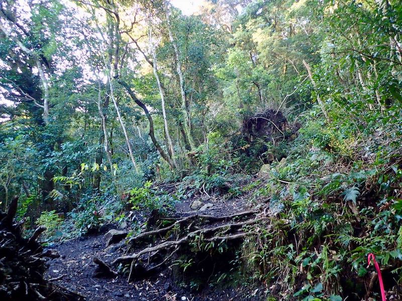時計回りにらせん状の道を登る
