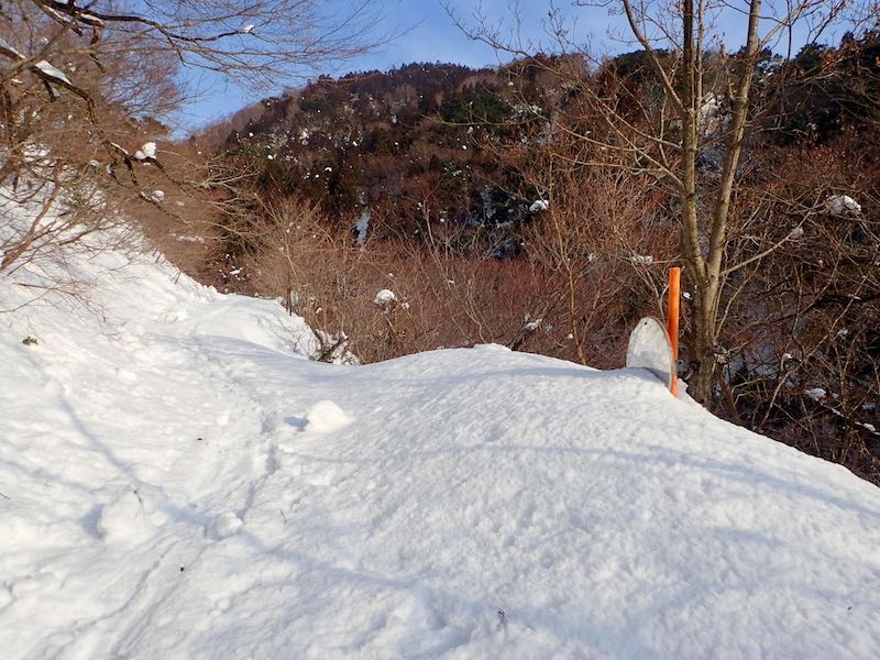 カーブミラーも埋まりがち