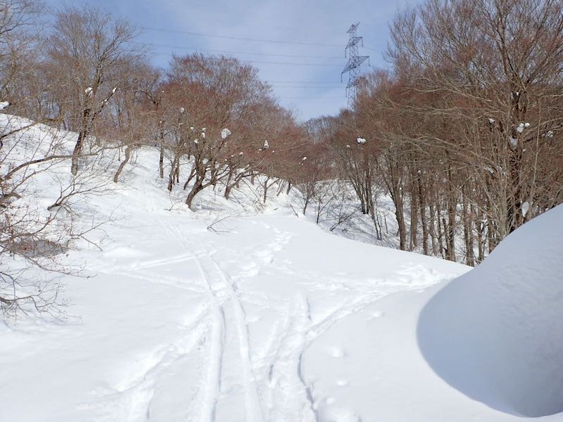 トイレまで戻って来た