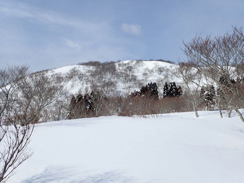 関西の雪山・2月の野坂山地 三国山　重雪でスキー滑らず…