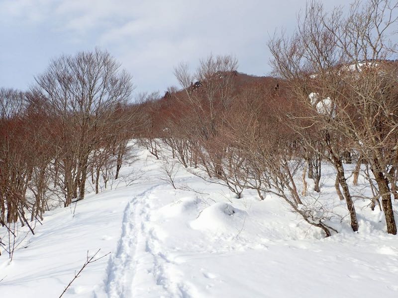 東尾根に上がったところ