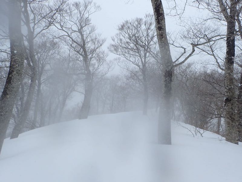 927峰に上がった