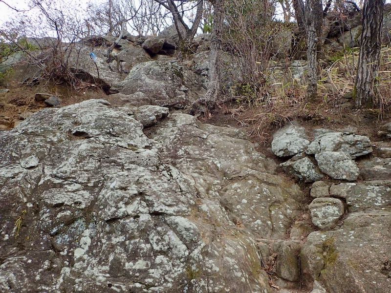 高尾山頂直下は岩場