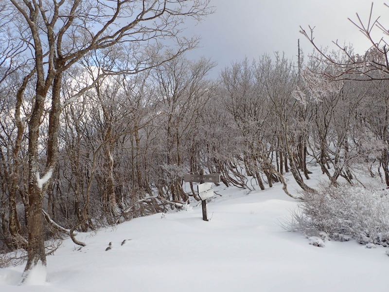 ワサビ峠 通年より雪が少ない
