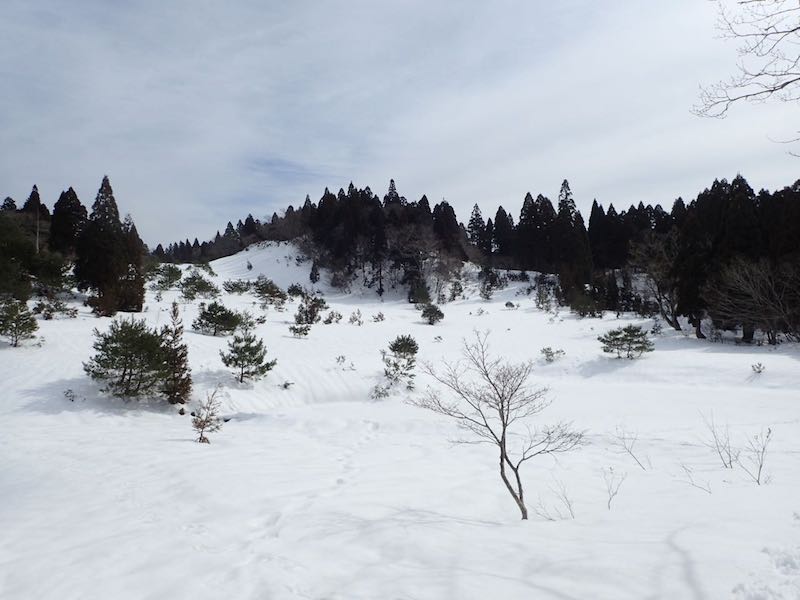 八雲ゲレンデ？