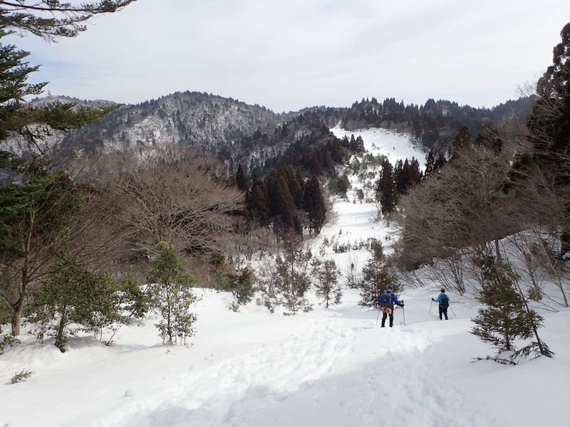 コヤマノ岳頂上手前から八雲ヶ原へ下る
