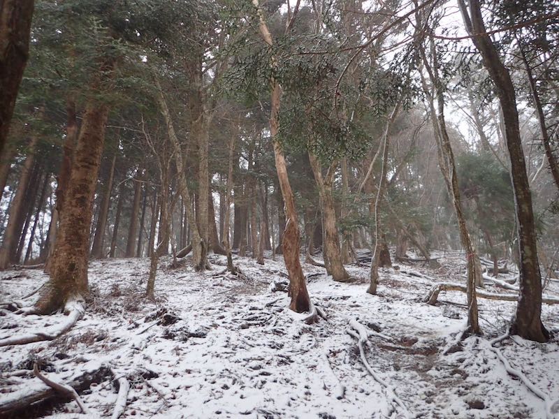 急登を辛抱する