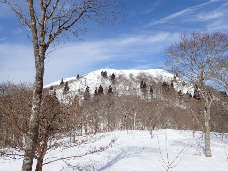 関西の雪山・武奈ヶ岳　JR比良駅〜金糞峠〜頂上〜北比良峠　「とりあえず武奈」公共交通日帰り雪山