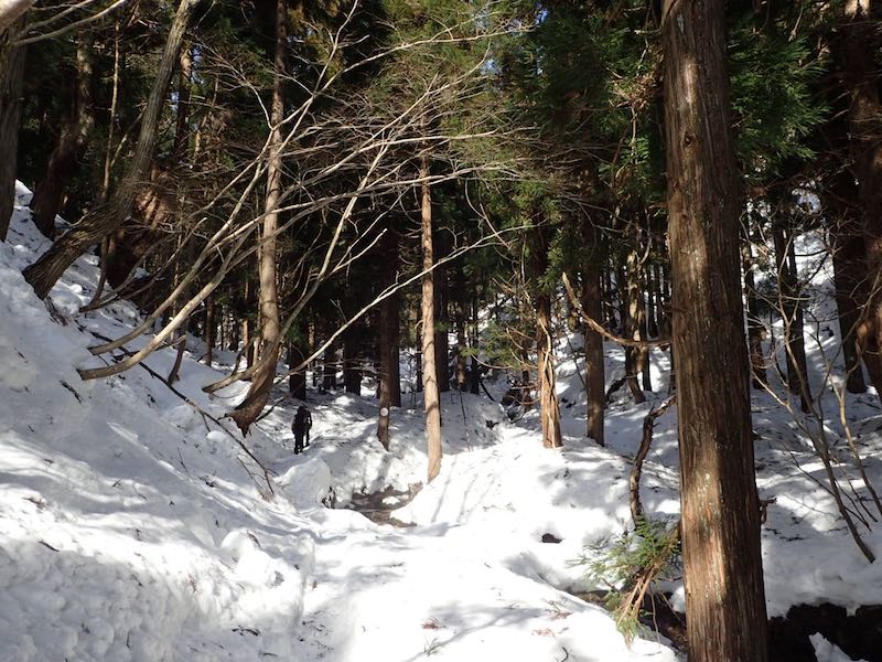 金糞峠から下りたところを行く