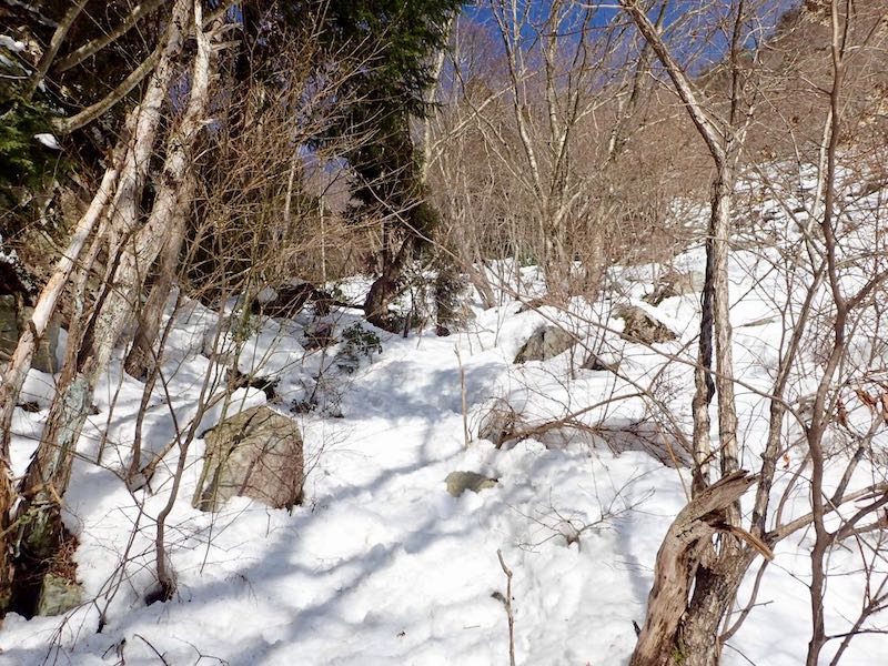 青ガレ上部も階段状