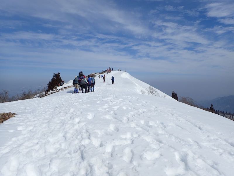 頂上は大勢の人で賑わっている