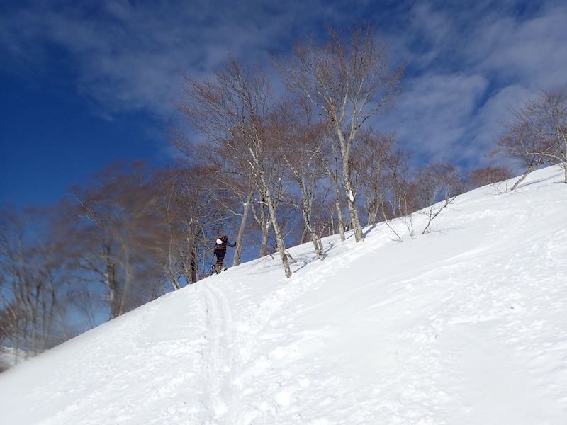 湯殿山への登り