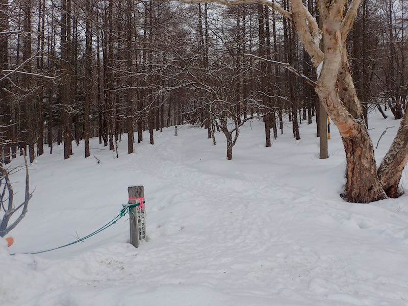 女乃神茶屋の登山口