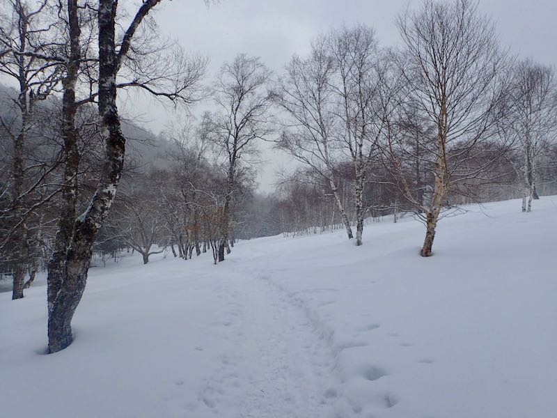 最初はなだらか