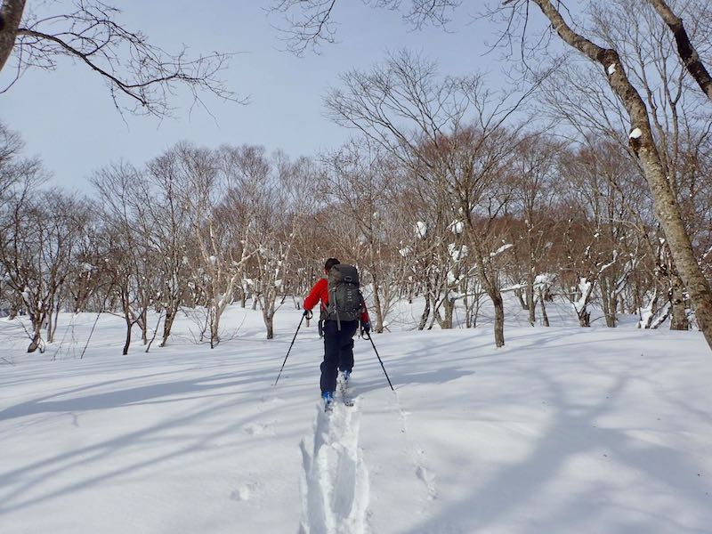 尾根をシール登高