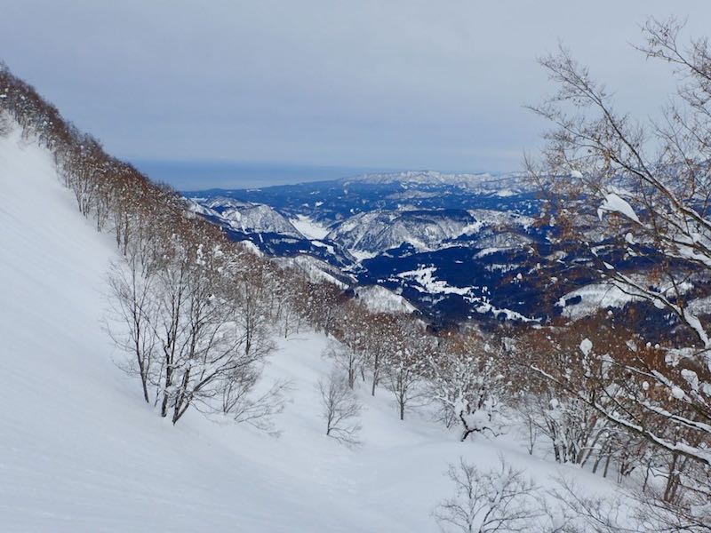 日本海が見える