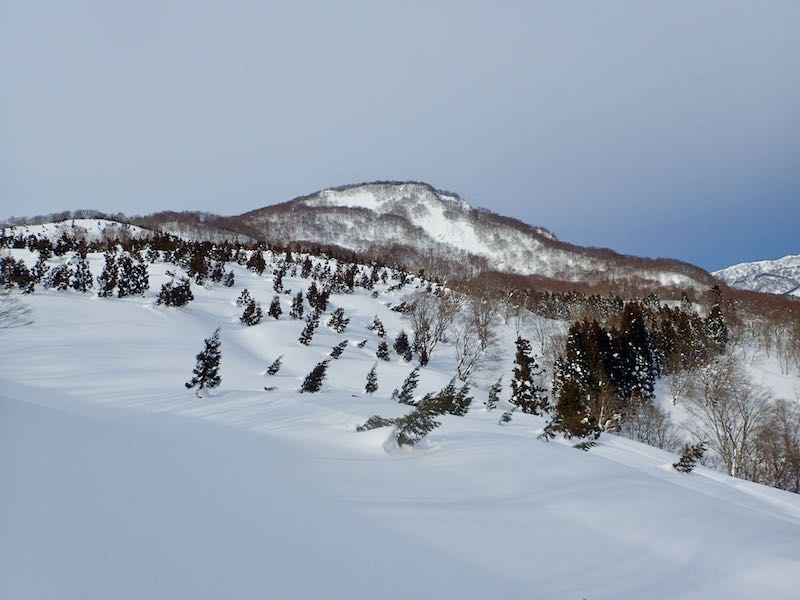 赤禿山を目指す
