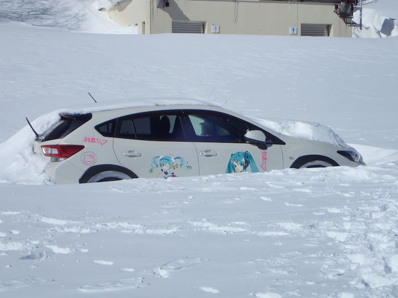 なぜか初音ミクの車が
