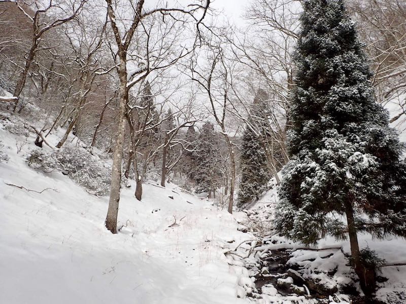 「北山の小舎」発祥の地