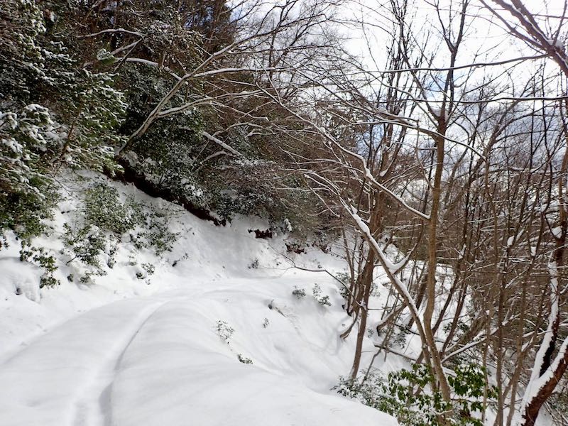 あとは林道を下るだけ