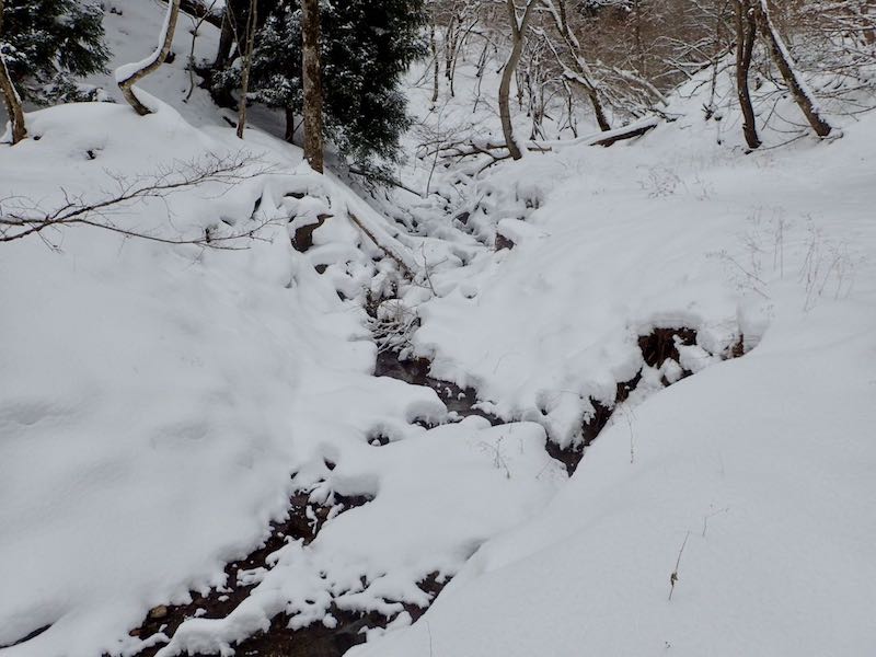 時々渡渉がある