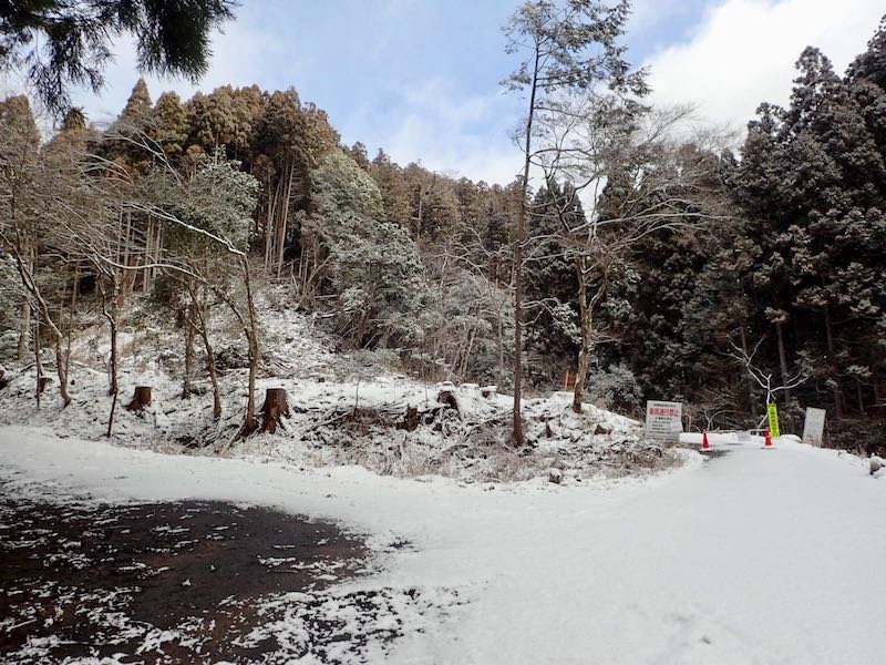 松尾谷分岐を右の林道に進路をとる