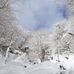 柳谷峠の手前-左手に上がっていく