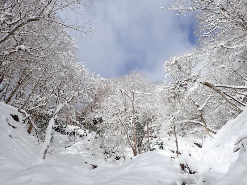 関西の雪山・魚谷山　京都北山の聖地を訪ねる　公共交通日帰り