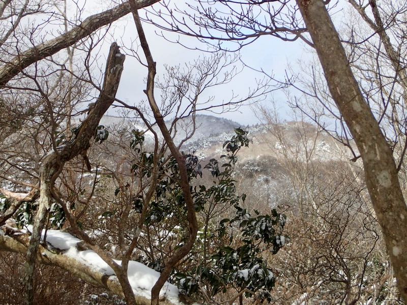 桟敷ヶ岳が見えた