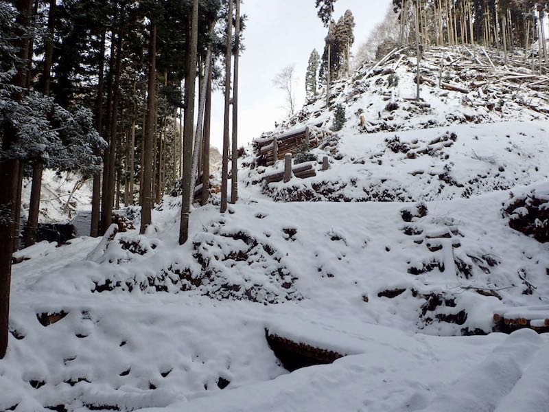 滝谷峠分岐を左に