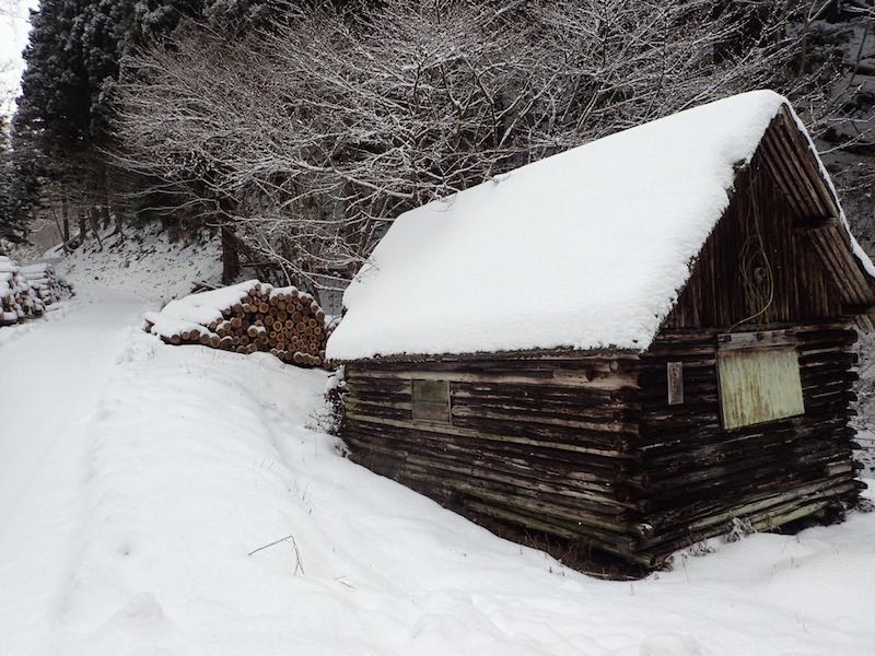 麗杉荘もあった
