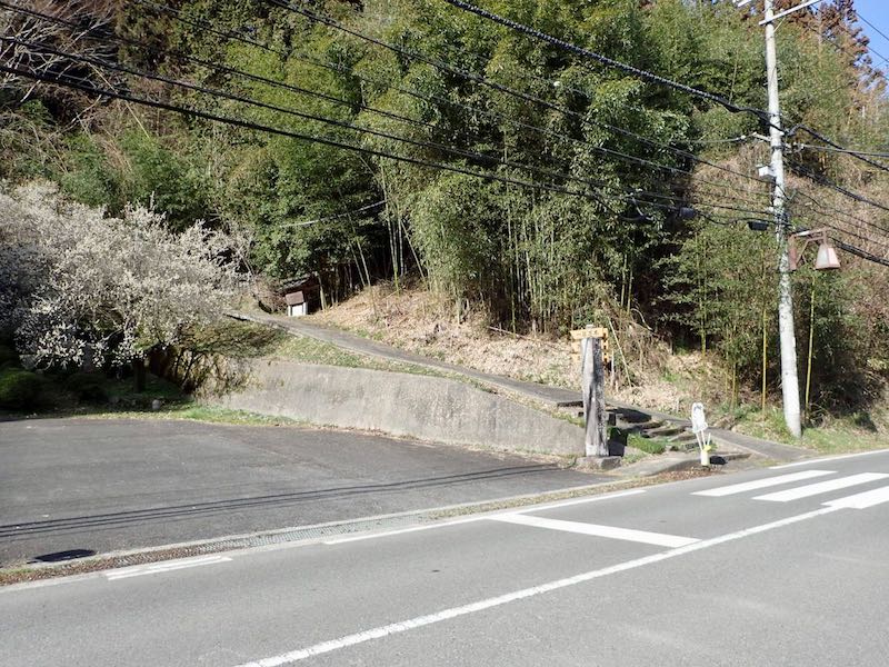 一目万本への道へ