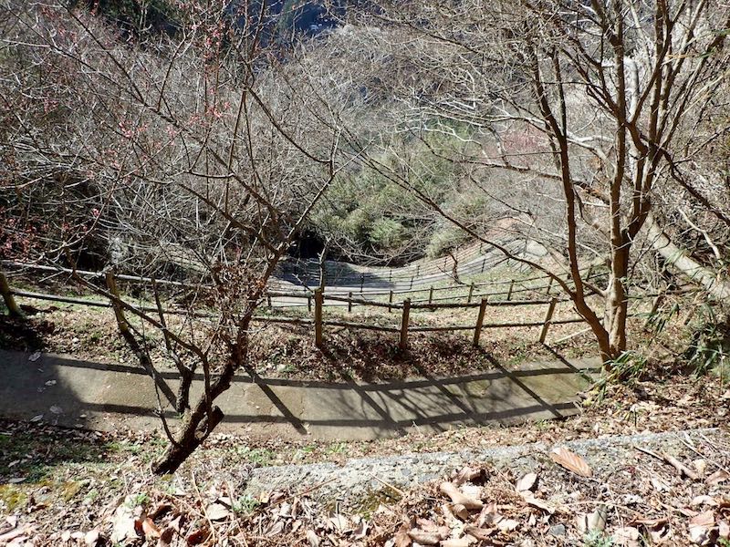 代官坂は登りには辛い