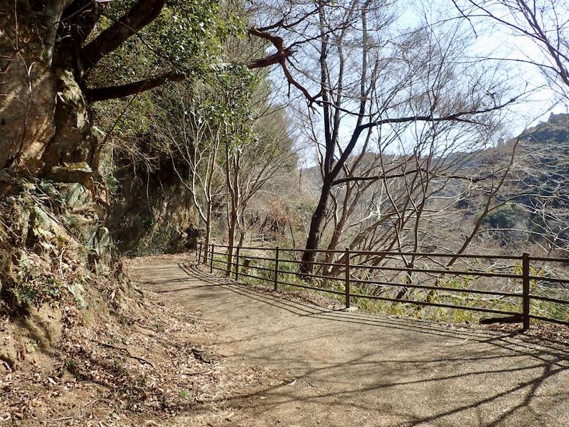 紅葉の小径は歩きやすい！