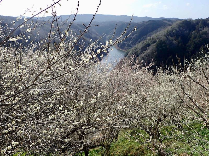 鹿飛谷からの一目八景