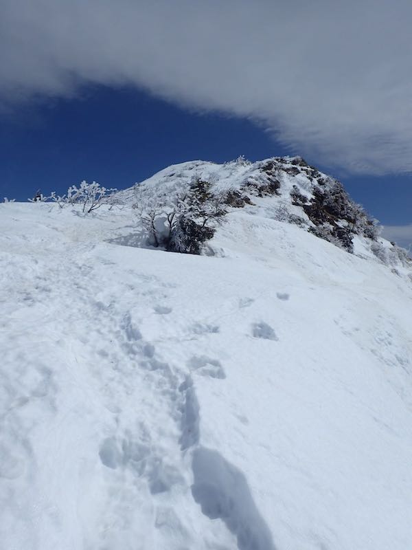 そうこう言う間に最後の登り