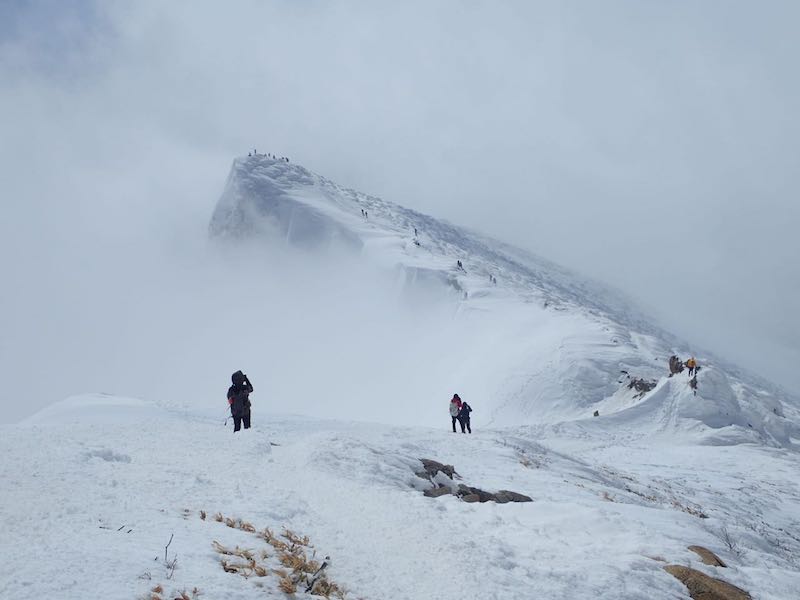 トマの耳が見えた幻想的だ