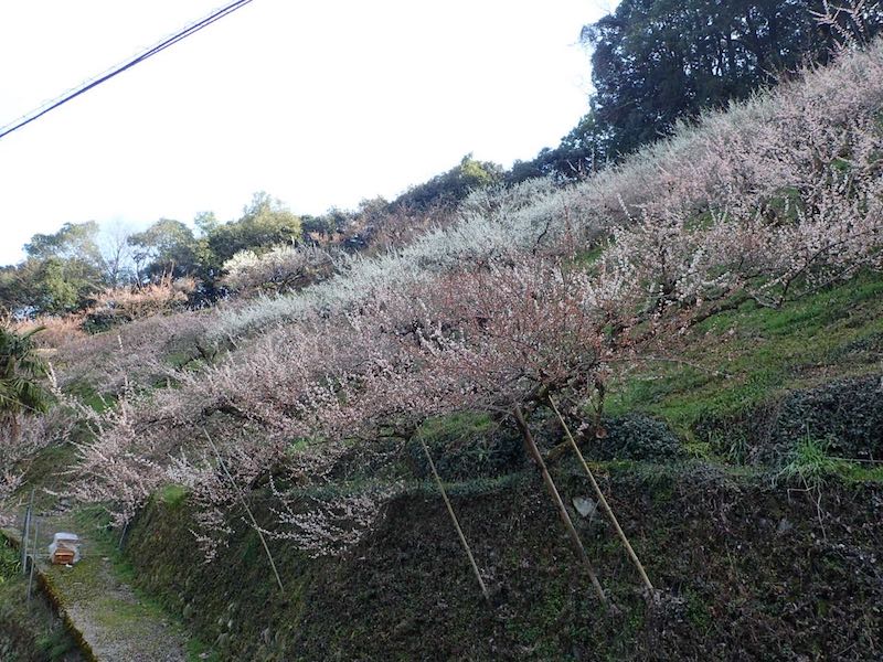 あーすごいなあと思っていたら