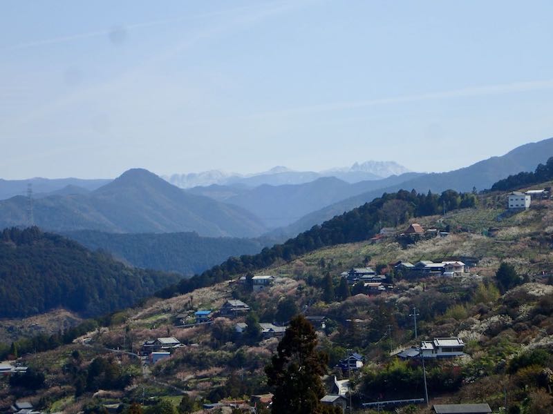 大峰山系　顕著な大日ヶ岳