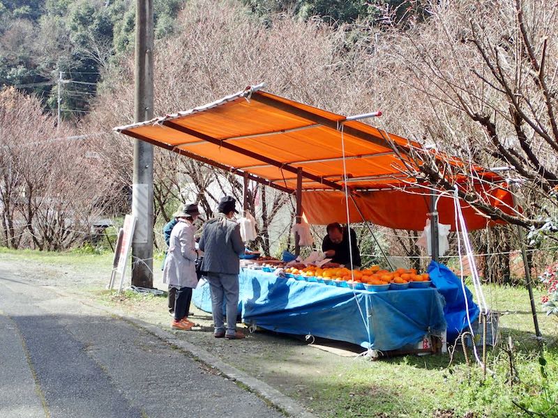 干し椎茸を買った